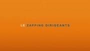 zapping-dirigeants-2016